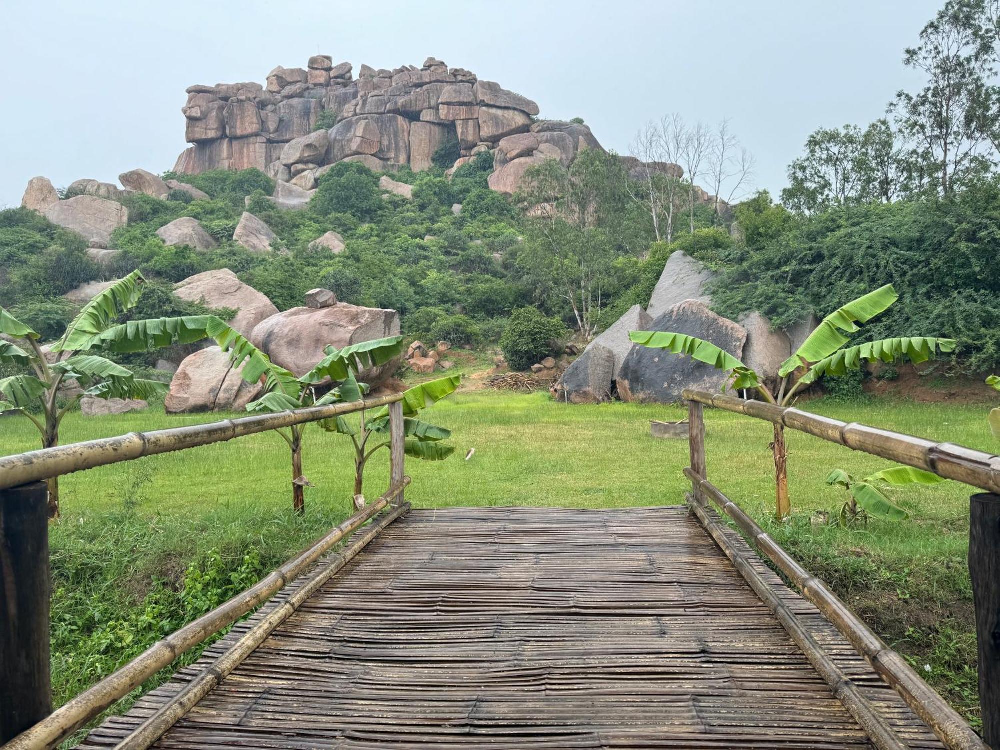 ホテル Hill Stone View ハンピ エクステリア 写真